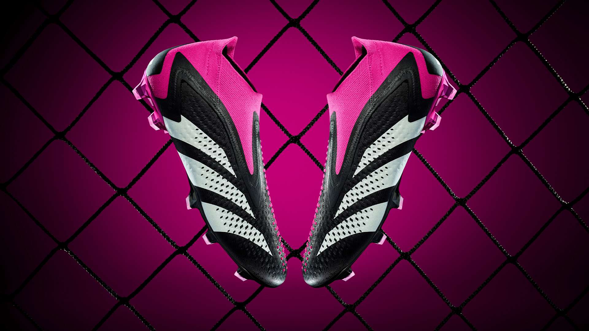 自身的实力 自身的实力