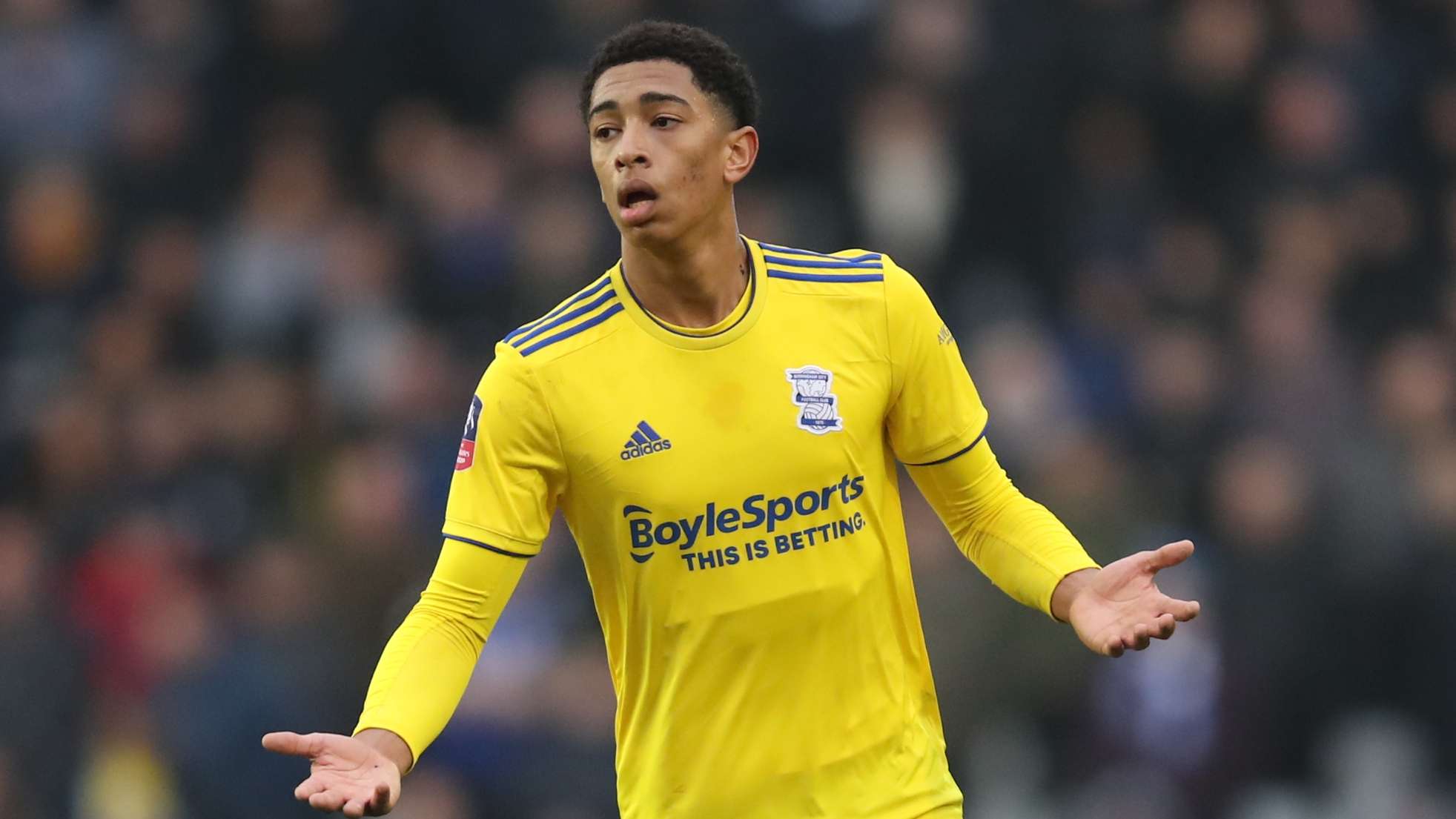 并不仅仅依 并不仅仅依